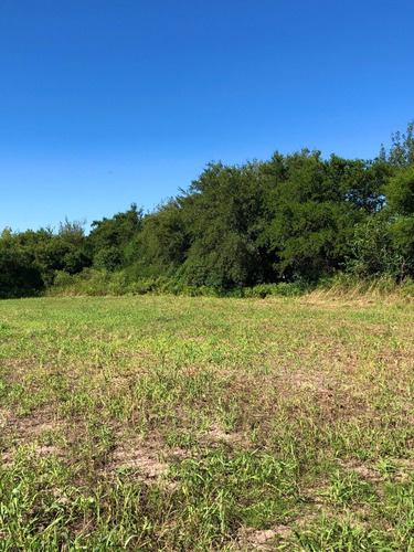 Imagen 14 de 18 de Lote 1250 M2 - La Aguadita / Villa De Las Rosas - Traslasierra