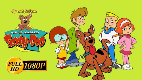 Un Cachorro Llamado Scooby Doo Serie Hanna Barbera 