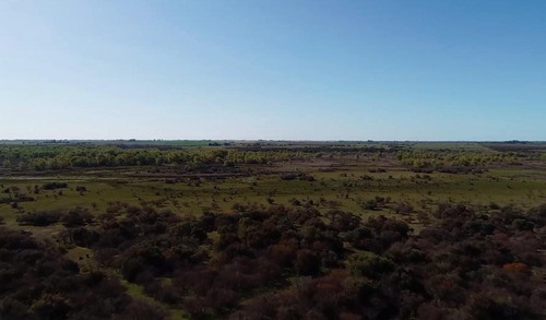Campo - Costa Del Uruguay