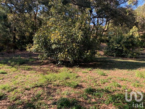 Venta Terreno 0 Ambiente Los Ocotes