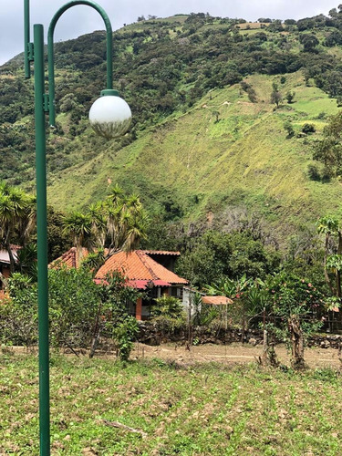 Imagen 30 de 30 de Venta De Finca En Bocono, Trujillo
