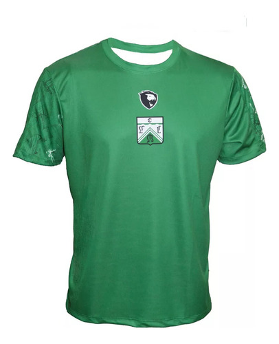 Remera Camiseta Entrenamiento Ferro Verde Lyon 2024 Original