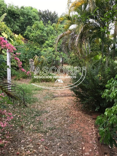 Imagem 10 de 24 de Ótima Chácara No Colinas De Piracicaba (código Cc00023) - Cc00023 - 69545233