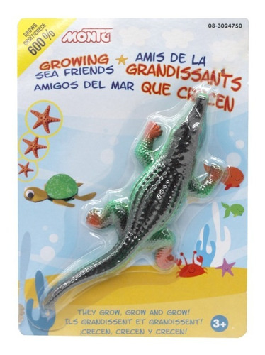 Animales Criaturas Marinas Que Crecen En Agua Montoy 3024750