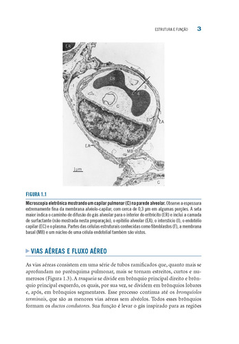 Fisiologia respiratória: Principios básicos, de West, John B.. Editorial Artmed, capa mole em português, 2013