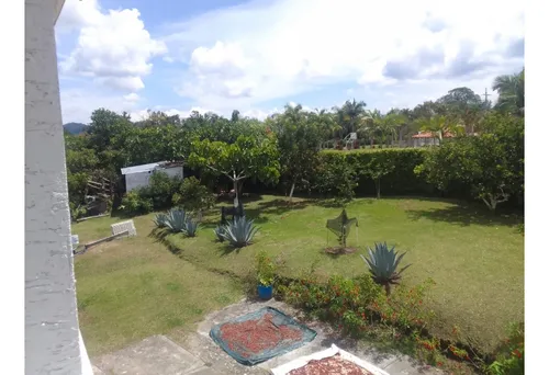 Venta Finca Productiva Montenegro Pueblo Tapao - 11 Cuadras