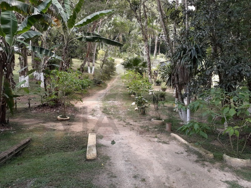 Imagem 6 de 30 de Sítio Ideal Para Lazer E Moradia, São 26.400 M² De Beleza Natural Em Juquitiba! - 149 - 34840703
