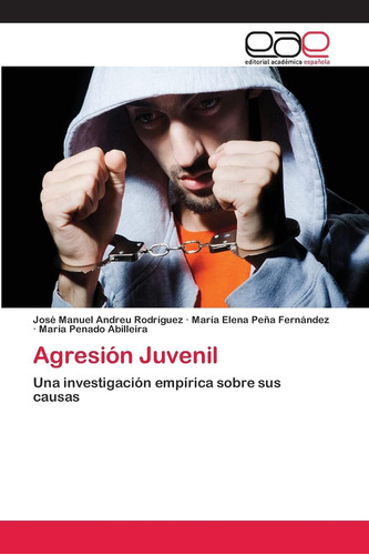 Libro:agresión Juvenil: Una Investigación Empírica Sobre Sus