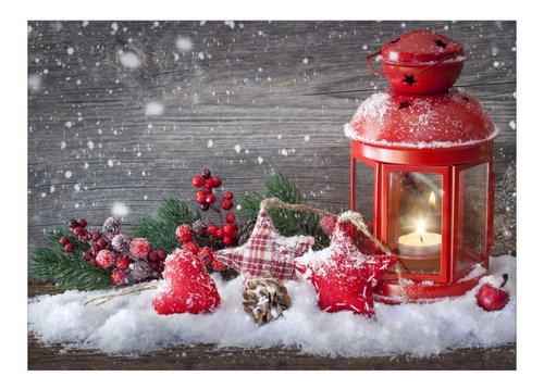 Cuadro Decorativo Moderno Navideño Nieve 