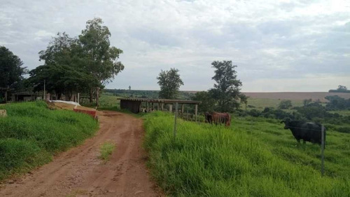 Imagem 24 de 29 de Sitio Com 63 Hectares De Leite Casa Branca Sp 6.500,000,00 - 44800