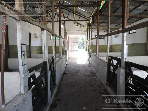 Imagen 15 de 26 de 100 Has En Punta Indio - Excelente Acceso - Ideal Haras!