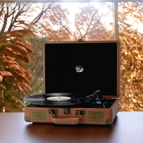 Vitrola Retro Maleta Toca Discos Vinil Caixa De Som Embutida 10w Bluetooth Com Agulha Rubi Extra