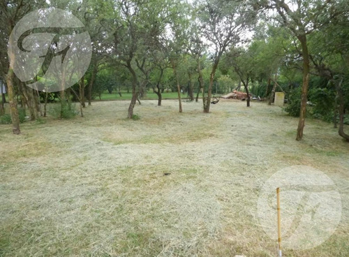 Imagen 4 de 10 de San Luis (junin) I Casa Quinta