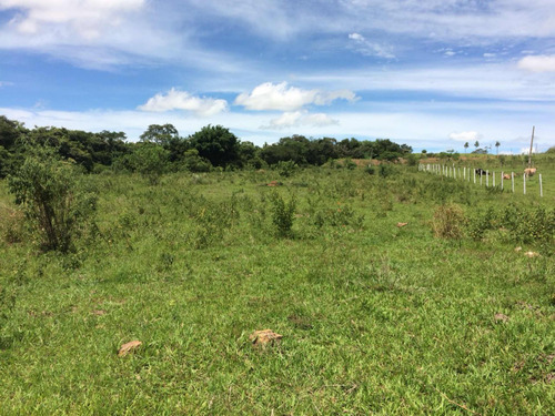 Terreno De 27.000 Metros Quadrados De M Porangaba -sp