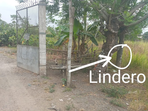 Imagen 11 de 13 de Terreno En Venta Ubicado Vía A Bucay Frente A Cartonera Ciudad El Triunfo Al Pie De La Carretera