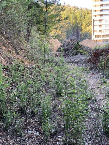 Terreno Inmobiliario 5.500 M2 Excelente Ubicación Lonco Ray