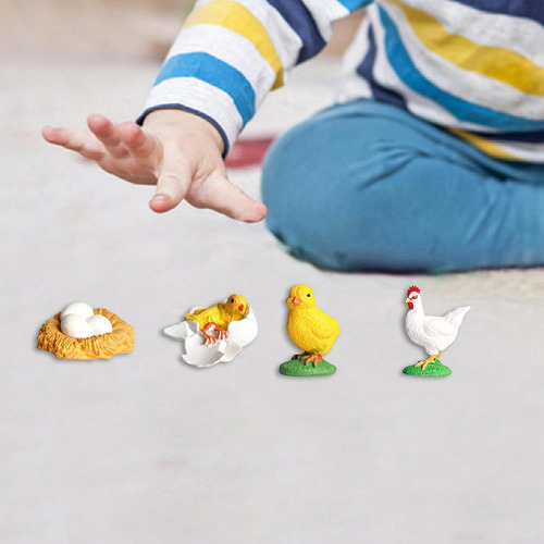 Ciclo De Vida De Los Juguetes De Pollo, Juguetes, Ciencia,