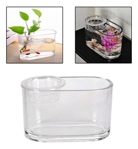 Aquaponic Tank Plants De Titular De Plantas Claro 20x10x12cm