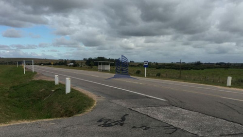Campo En Venta - Ref: 718