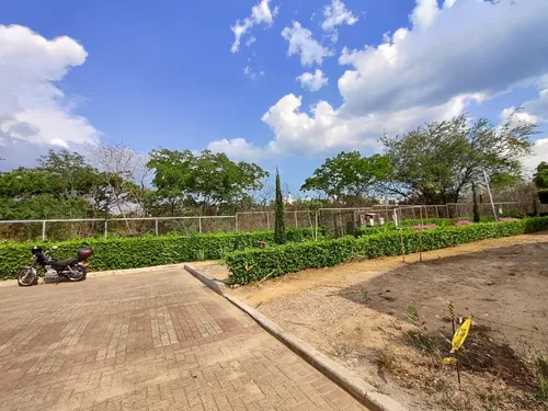 Lote En Venta En Punta Colorado. Cod V23319
