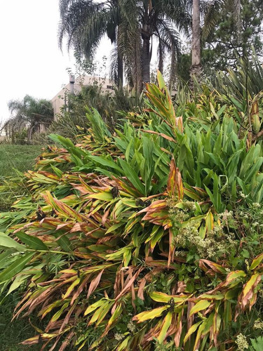 Imagen 15 de 27 de Lote Al Rio En Venta En Santa Maria De Tigre