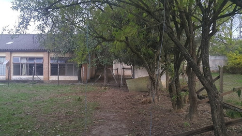 Imagem 4 de 5 de Galpão Em Braz Cubas - Mogi Das Cruzes - 2494