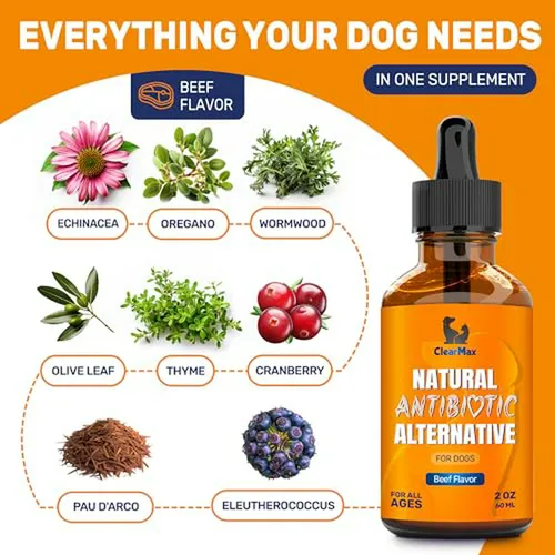 Antibiótico Para Perros Con Sabor A Carne 2 Oz