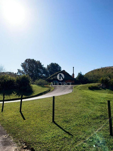 Imagem 1 de 9 de Lindo Terreno Em Rancho Queimado - Te0148