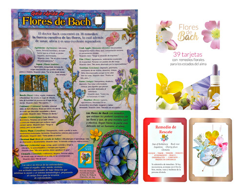 Flores De Bach, Kit 1 Guia Rapida Y 39 Tarjetas A Color