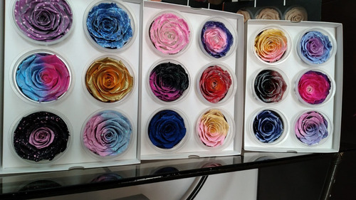 Imagen 5 de 5 de Preserved Roses