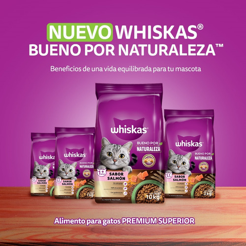 Whiskas Alimento Seco Salmón Gato Bueno Por Naturaleza 10 Kg