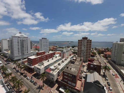 Imagen 26 de 30 de Apartamento En Venta Y Venta En Punta Del Este, Península, Céntrico, Piso Alto Con Muy Linda Vista Despejada