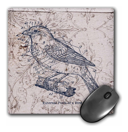 3drose Vintage Birds Con Diagrama Steampunk Art Mouse Pad (m