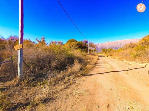 Imagen 8 de 8 de Terreno En Venta En Altos De Carpintería