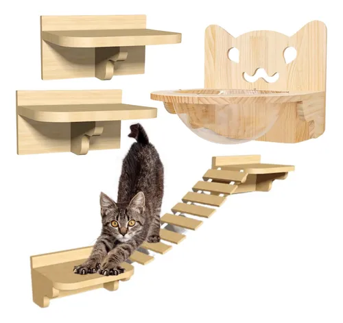 Gimnasio gatuno sales