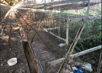 Comprar Jaulas Para 4200 Ponedoras Envío Incluido A Todo El País
