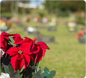 Imagem 12 de 14 de Jazilo No Cemitério Jardim Da Saudade ...