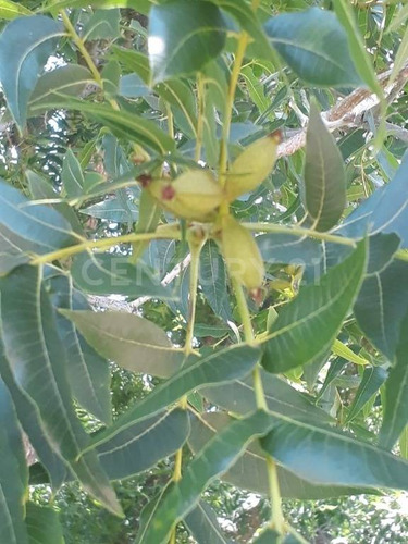 Rancho En Venta En Coyame Chihuahua