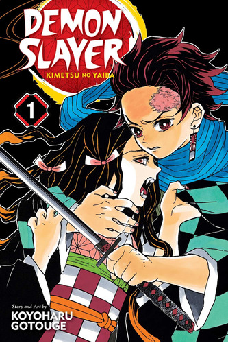 Demon Slayer: Kimetsu No Yaiba, Vol. 1 (1)