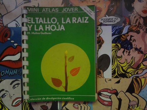 El Tallo La Raiz Y La Hoja De M. Molins Guillemi Mini Atlas 