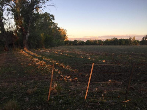 Imagen 11 de 13 de Campo - San Javier