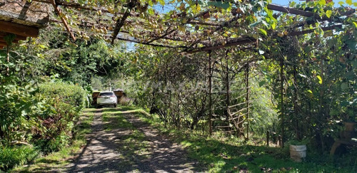 Imagen 3 de 9 de Terreno En Venta