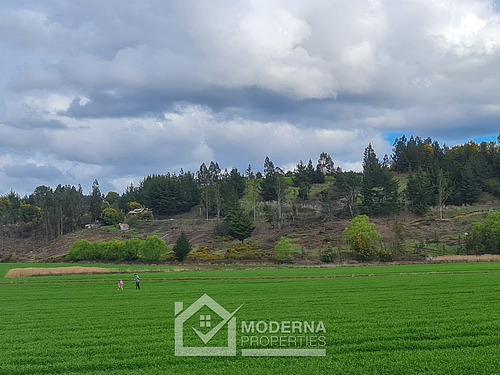 Campo 78 Ha En Traiguén Entre Rios