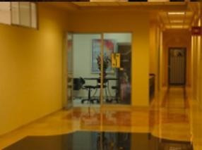 Imagen 15 de 30 de Oficinas En Renta Edificio Santa Mónica Benito Juarez 40