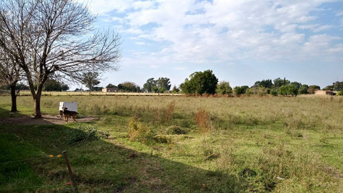 Imagen 14 de 14 de Granja De Pollos En Venta - Villa Mantero