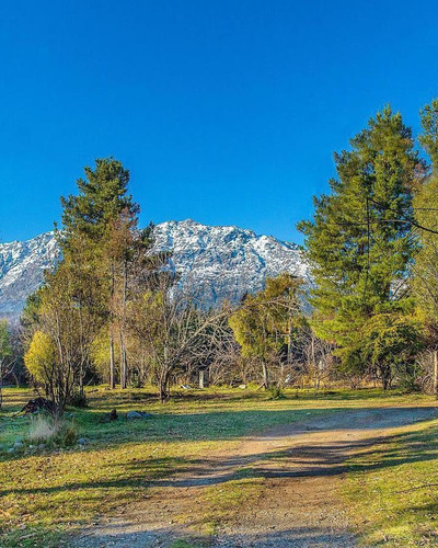 Imagen 5 de 26 de Se Vende 3.5 Hectáreas - Con Cabaña 79 M2 Quincho Galpón - Las Golondrinas - Lago Puelo Chubut