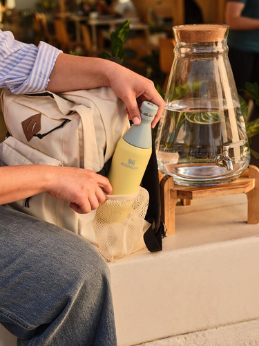 Botella Stanley Slim All Day 20 A 34 Oz Acero Pomelo