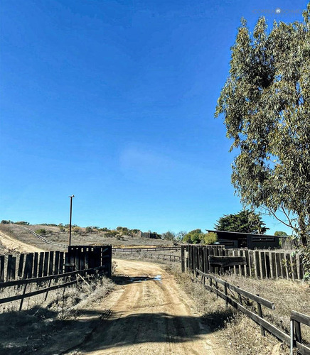 Terreno Construccion En Venta En Navidad