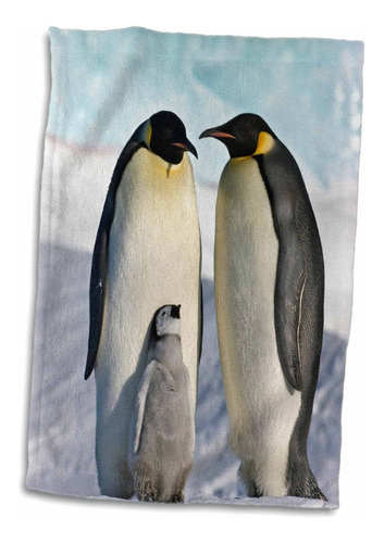 3d Rose Emperor Penguin-snow Hill Island-antarctica-an0...