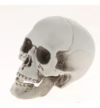 Comprar 3x Calaveras Pequeño - Figuras Decorativas Calaveras
